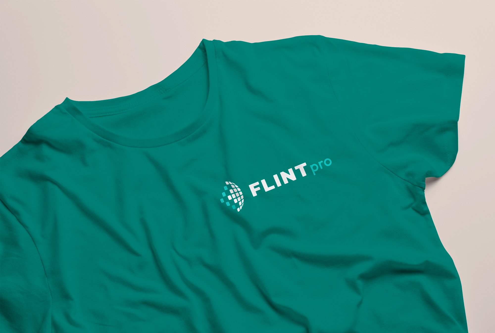 FLINTpro Branding