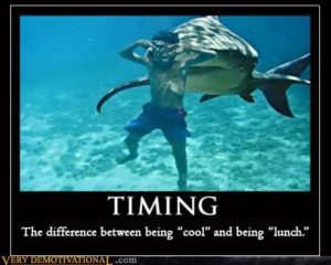 timing-meme