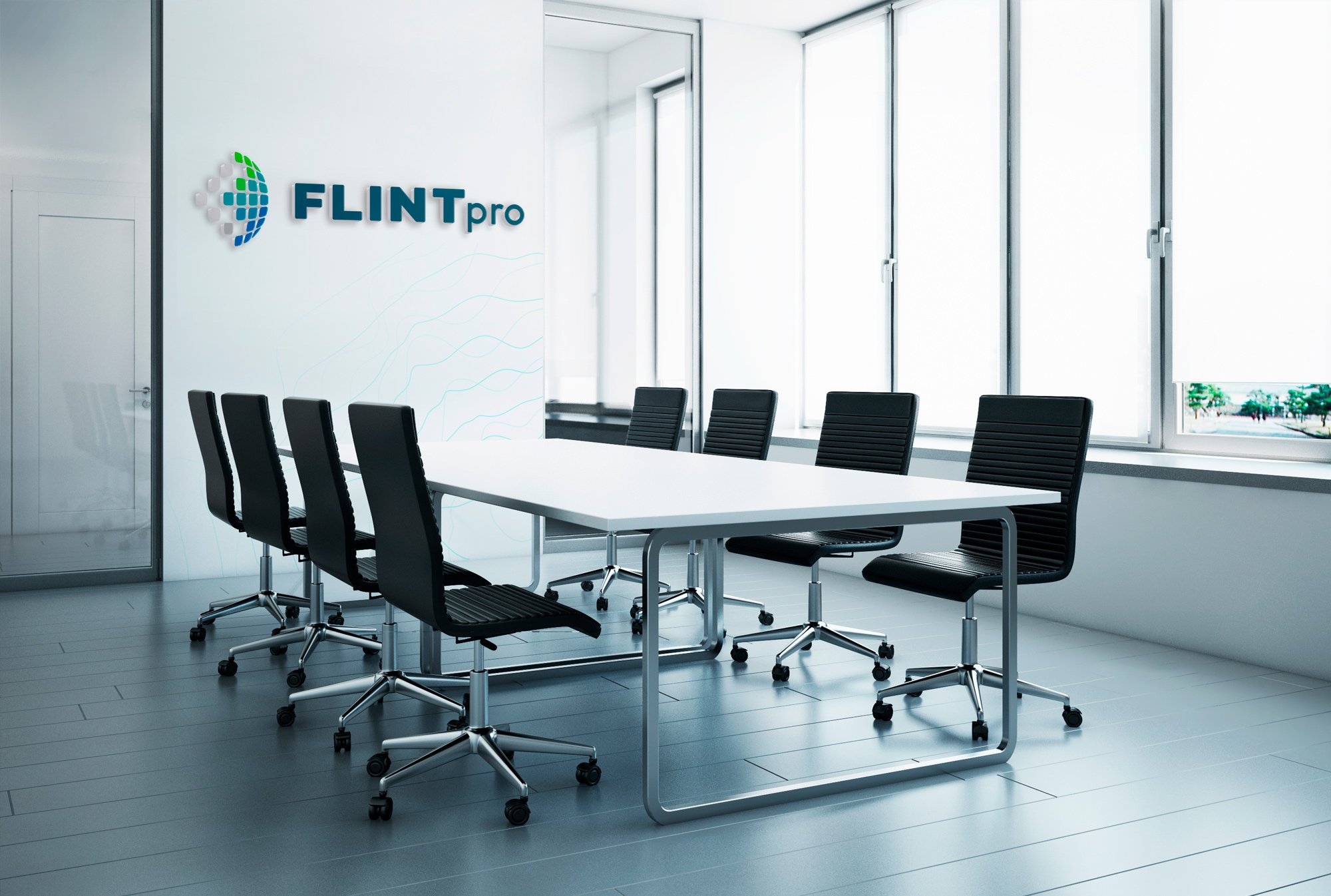 FLINTpro Branding FLINTpro Branding